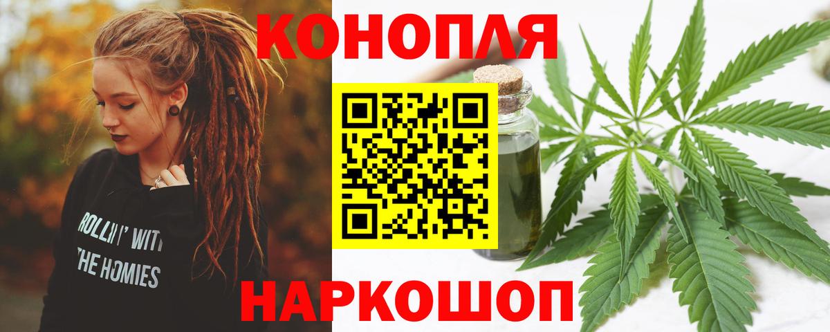 Шишки марихуана конопля Тосно